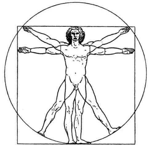 Закон пропорций человеческого тела по Леонардо да Винчи